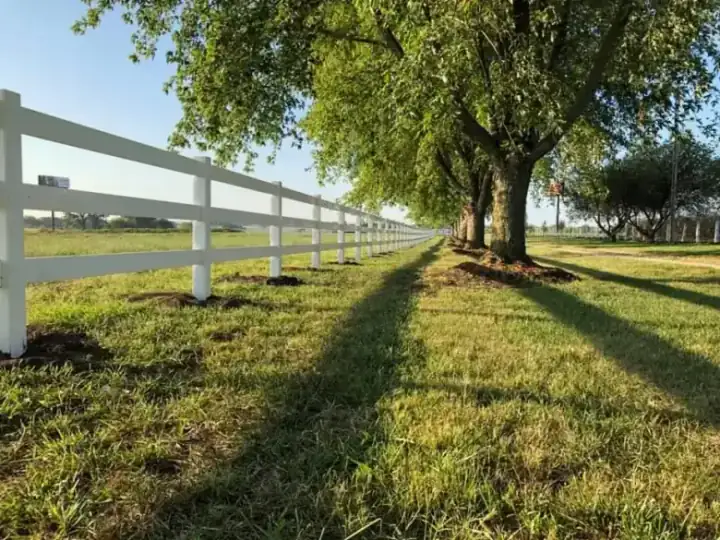 White vinyl three rail ranch fence running down a tree lined lane