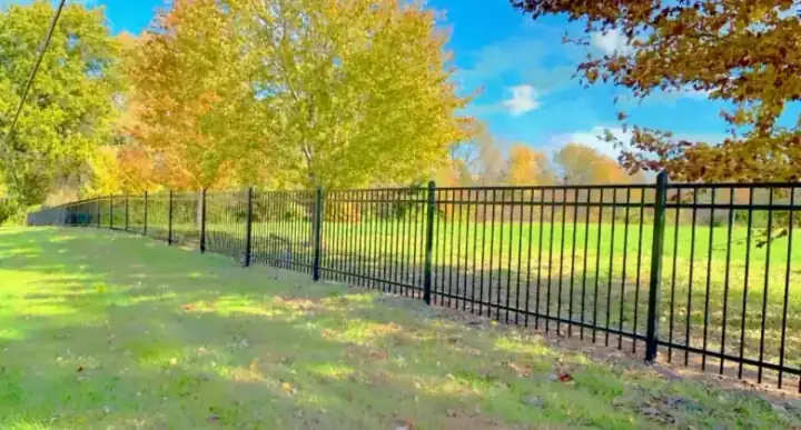Black ornamental fence in autumn