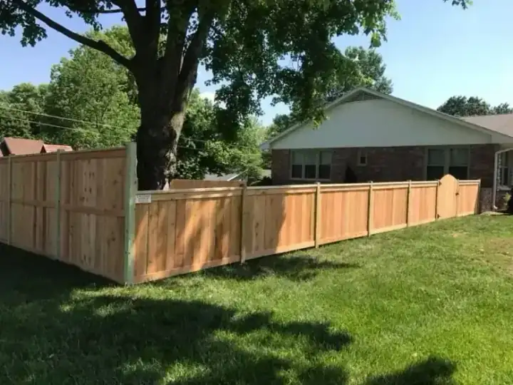 Cedar privacy fence with an arched gate